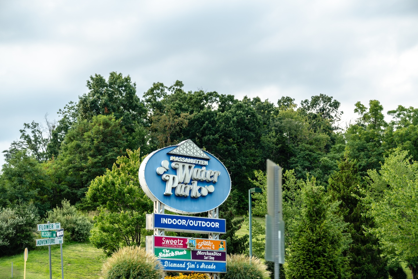 Cedar Escape property photo 44